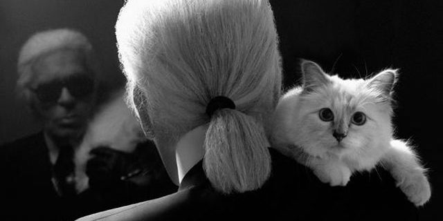 karl-choupette