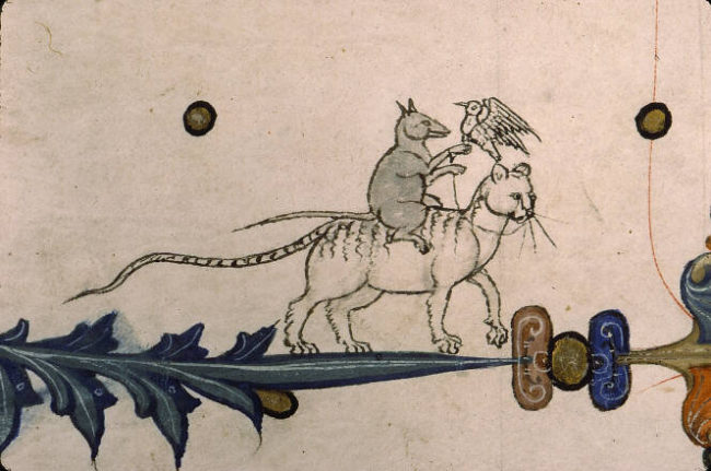 medieval ms. bird drwaing