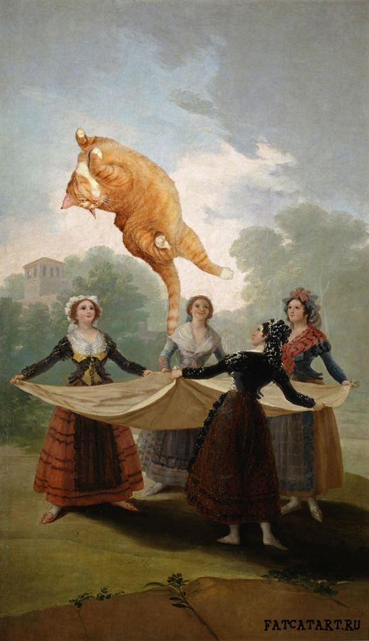 goya-cat