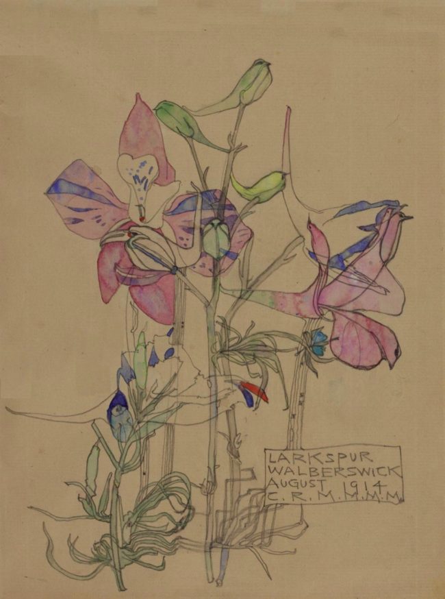 Charles-Rennie-Mackintosh-Larkspur-August-1914-watercolour