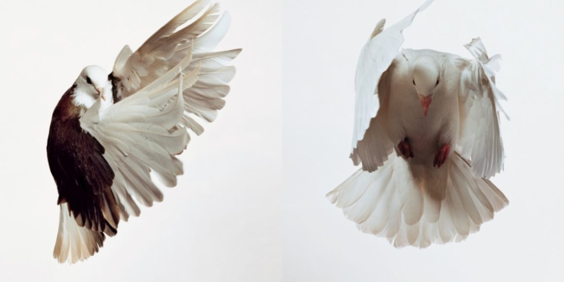 comme_des_garcons_ad_-ronnie-cooke-newhouse-stephen-wolstenholme_01