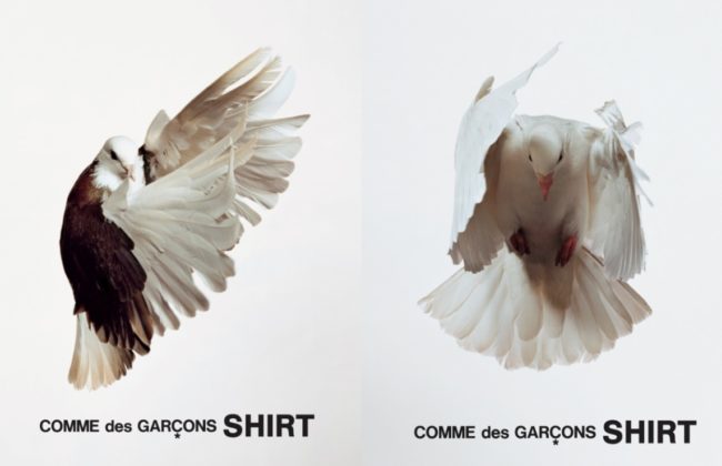 comme_des_garcons_ad_-ronnie-cooke-newhouse-stephen-wolstenholme_01