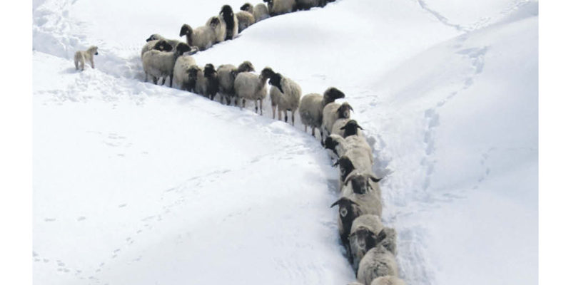 TIM.013.1GY.______.07oct.OTB