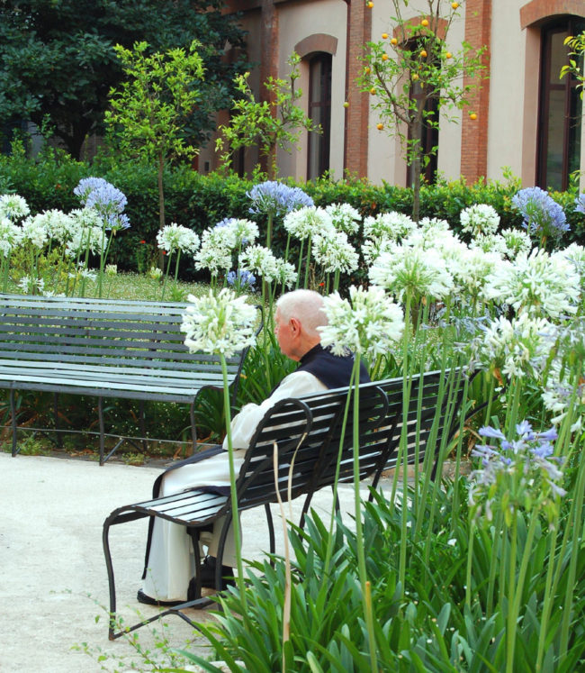 monk in garden