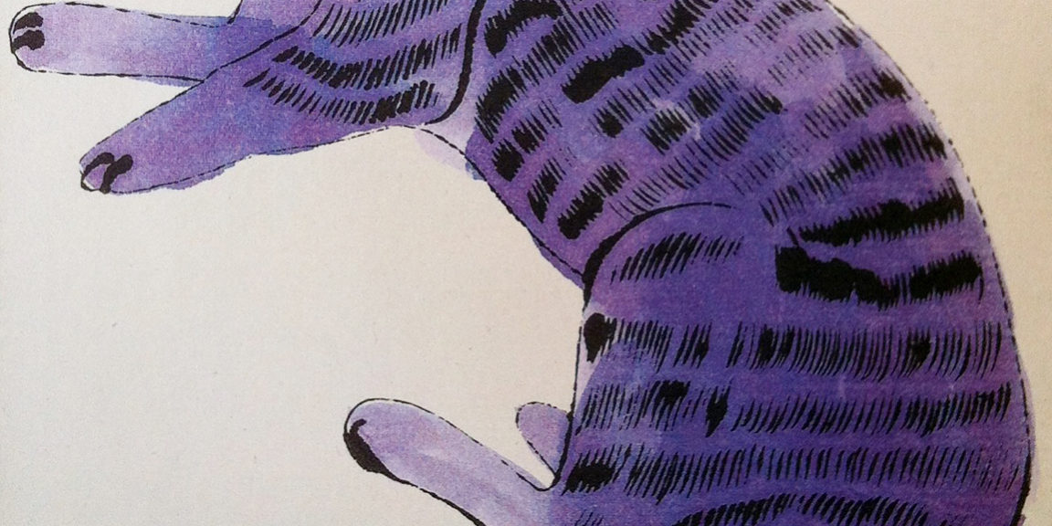 cat Warhol